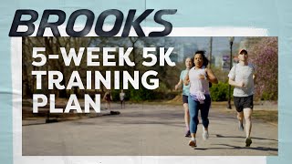 5week 5k Training Plan  5k Training plan for beginners [upl. by Caty]