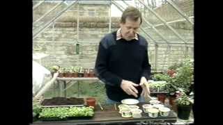 Geoff Hamilton amp Ann Swithinbanks gardening tips1980s [upl. by Flam]