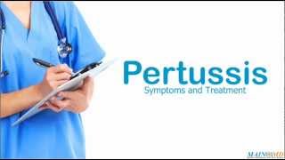 Pertussis Symptoms and Treatment [upl. by Annekahs260]