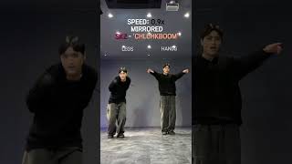 TUTORIAL SKZ CHKCHKBOOM Slowed and Mirrored kpop skz tutorial dancecover [upl. by Hitchcock]