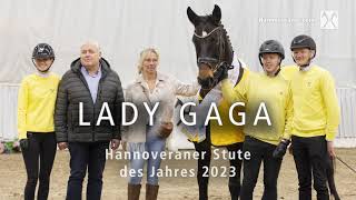 Hannoveraner Stute des Jahres 2023 Lady Gaga v Lord Pezi  Fly High  Athletico [upl. by Dolores]