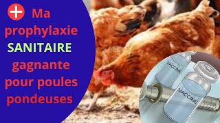 Tout savoir sur ma prophylaxie sanitaire des poules pondeuses de A à Z [upl. by Buehler]