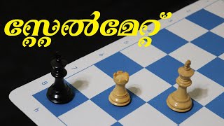 11  സ്റ്റേൽമേറ്റ് നിയമം  Stalemate Rule  How to Play Chess in Malayalam  Part 11 [upl. by Tanner]