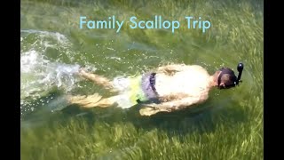 Scalloping Trip with my Family  Homosassa FL [upl. by Valentia]