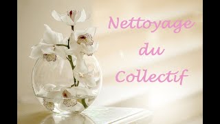 Nettoyage collectif pour le Deuil acceptation vacuité pour lévolution personnelle [upl. by Dnalon]