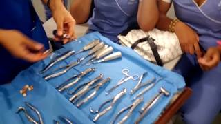 Clase Instrumental de Cirugia Oral Forceps y Elevadores [upl. by Loretta]