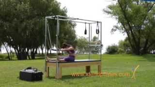 Pilates TrapezeCadillac Workout  Exercises Push Through Bar [upl. by Haland415]