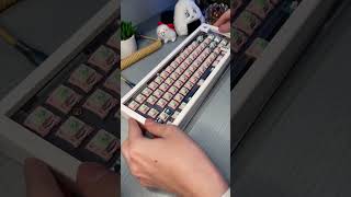 Open your GMK67 WITHOUT any TOOLS customkeyboard mechanicalkeyboard gmk67 [upl. by Fransen]