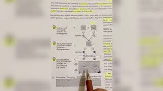 How to calculate Genotypic Ratio and Phenotypic Ratio in 🧬 Genetics Easiest way to learn 📖 [upl. by Dena]