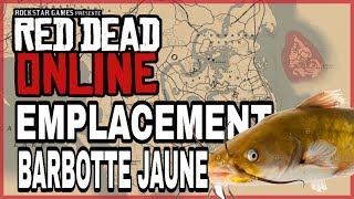 EMPLACEMENT BARBOTTE JAUNE RED DEAD ONLINE [upl. by Adleremse]