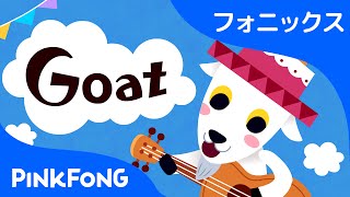 Goat  フォニックス読みG  ABCフォニックスの歌  ピンクフォン英語童謡 [upl. by Aidaas]