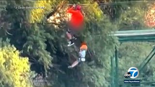 6yearold boy falls 40 feet in zip line accident family plans to sue [upl. by Llenaj]