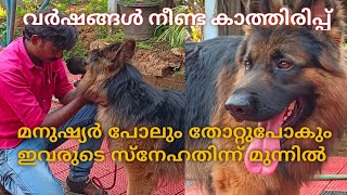 സ്നേഹം അത് ഇവരിൽനിന്നും ലഭിക്കണം  German Shepherd  True Love  malayalam  Leash Talks [upl. by Cowley481]