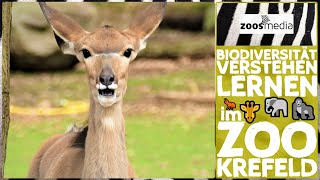 Zoo Krefeld BIODIVERSITÄT verstehen amp schützen lernen  zoosmedia [upl. by Ralina]