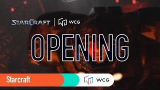 Starcraft Brood War Opening [upl. by Oidiple611]