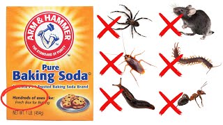 How To Use Baking Soda To Get Rid Of Roaches Ants Spiders Mice Bedbugs 30 Different Pest [upl. by Eolanda]