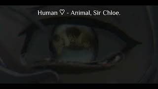 Animal — Sir Chloe Speed up  Lyrics [upl. by Larentia]