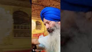 Sat Sri akal ji 🙏gurudwarasahib goldentemple god shortvideo ytshorts minivlog dailyvlog [upl. by Asle]