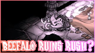 Can You Rush The Ruins With a Beefalo Dont Starve Together Strategy [upl. by Rutherford683]