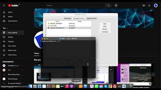 Fix XAMPP Apache Not Starting on macOS  Quick amp Easy Solutions  BlueTek [upl. by Zerat]