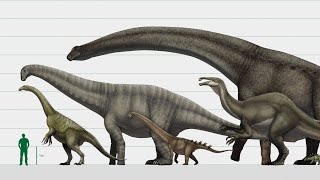 Random Prehistoric Animals size comparison 1 out of 3 [upl. by Erodisi]