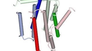 Integral membrane diacylglycerol kinase [upl. by Melville]