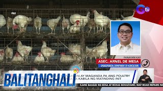 Bird Flu Outbreak sa Leyte ayon sa WOAH  BT [upl. by Denae]