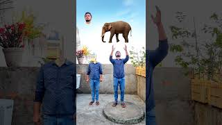 Flying body parts matching amp catching elephant amp cat funny vfx magic  Kinemaster editing [upl. by Yrocaj]