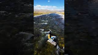 Deosai the land of Giants ♥️ music explorepage shortvideo [upl. by Hameean]