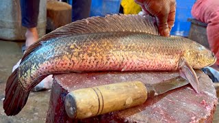 Amazing Cutting Skills  Giant Sola Fish Cleaning amp Cutting By Expert Fish Cutter [upl. by Lisabet]