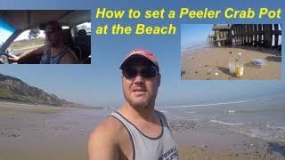 How to set a Peeler Crab Pot at the beach [upl. by Ailadgim176]