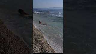 Makarska walk August Summer Croatia 2024 ASMR 4K HDR2024 croatia makarskariviera makarska beach [upl. by Yeleak]