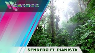 SENDERO EL PIANISTA [upl. by Zemaj]