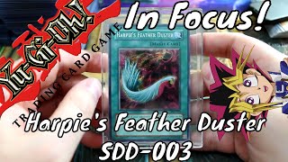 In Focus  Yugioh  Harpies Feather Duster SDD003 [upl. by Metzgar]