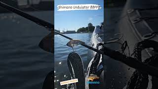 Shimano Undulator 88 FFB fishing berlin boot fish [upl. by Shirleen]