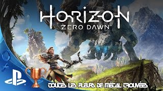 Trophée toutes les fleurs de métal trouvées Horizon Zero Dawn [upl. by Suivatnod914]