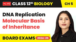 DNA Replication  Molecular Basis of Inheritance  Class 12 Biology Chapter 5  live [upl. by Aubry]