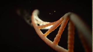 DNA Helix Stunning Science Animation  Free HD Stock Footage No Copyright [upl. by Nytram457]