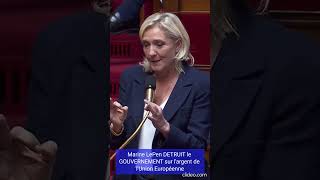 MARINE LE PEN DETRUIT LE GOUVERNEMENT SUR LARGENT DE LUNION EUROPEENNE [upl. by Recneps573]