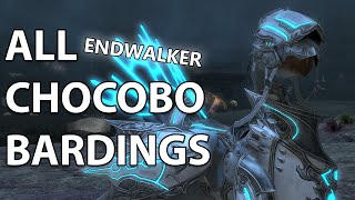 FFXIV All Endwalker Chocobo Bardings [upl. by Llorre944]