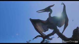 Pteranodon Sound Effects [upl. by Magdaia]