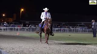 Missouri Fox Trotter Lesson [upl. by Bixby]