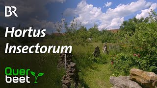 Hortus Insectorum [upl. by Asirehc]