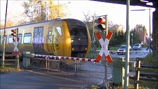 Spoorwegovergang Bad Bentheim D  Railroad crossing  Bahnübergang [upl. by Yasibit555]