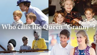 Queen Elizabeth IIs Grandchildren [upl. by Yoshio]