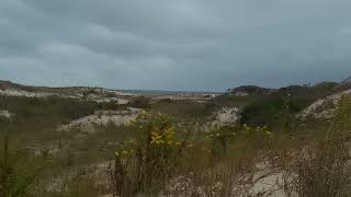 a view of the land at the Point where the Delaware Bay Breaks off from the Atlantic [upl. by Rednirah]