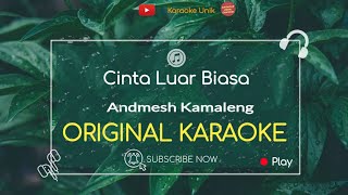 Cinta Luar Biasa Karaoke  Andmesh [upl. by Agler]