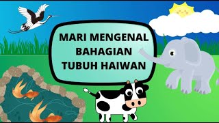 Bahagian Tubuh Haiwan  Prasekolah [upl. by Avir]