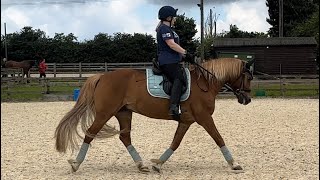 Novice 27 Dressage Test [upl. by Aelanna]