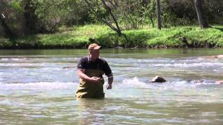 Fly Fishing on the Toccoa River in McCaysville GA [upl. by Llehsar]